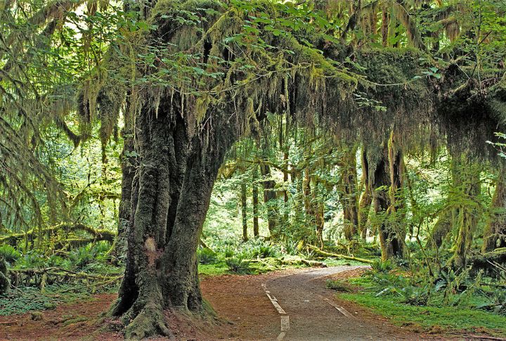 Washington