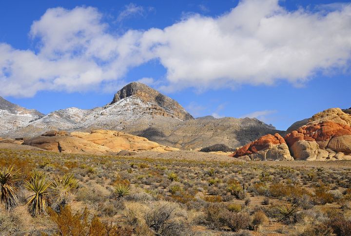 Nevada