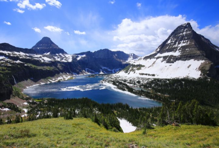 Montana