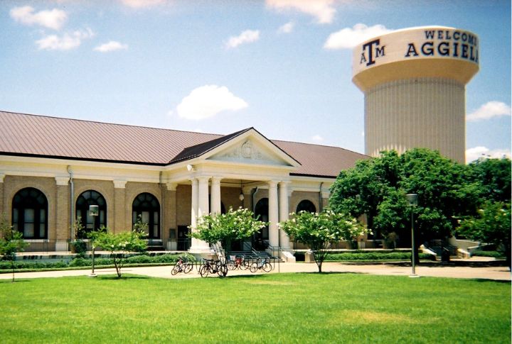 Texas A&M Trains The Nation's Top Equine Experts