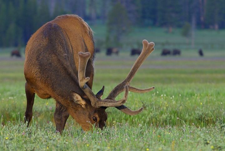 Wyoming