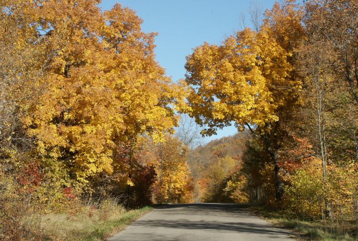 Minnesota (78.8 Years)