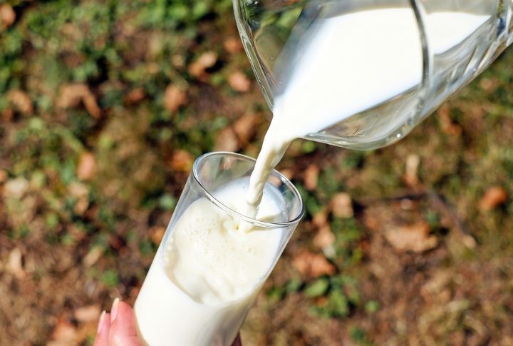 Dairy Products From Hormone-Treated Cows
