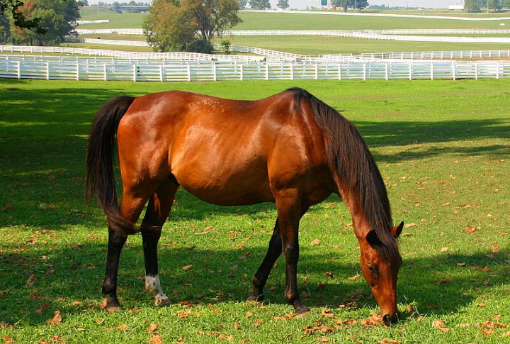 Kentucky