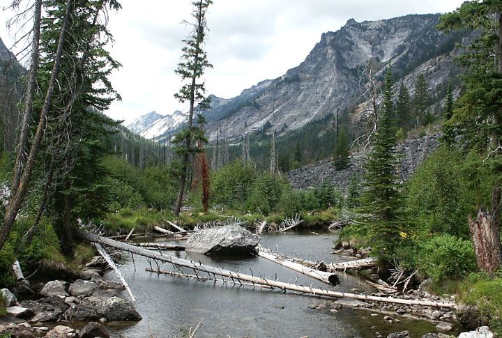 Montana