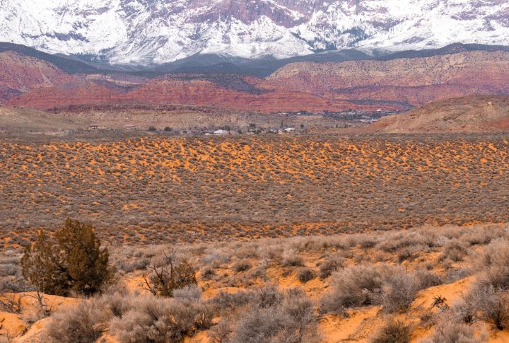 Nevada