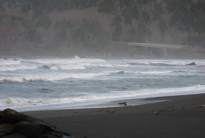 Del Norte Coast Redwoods State Park