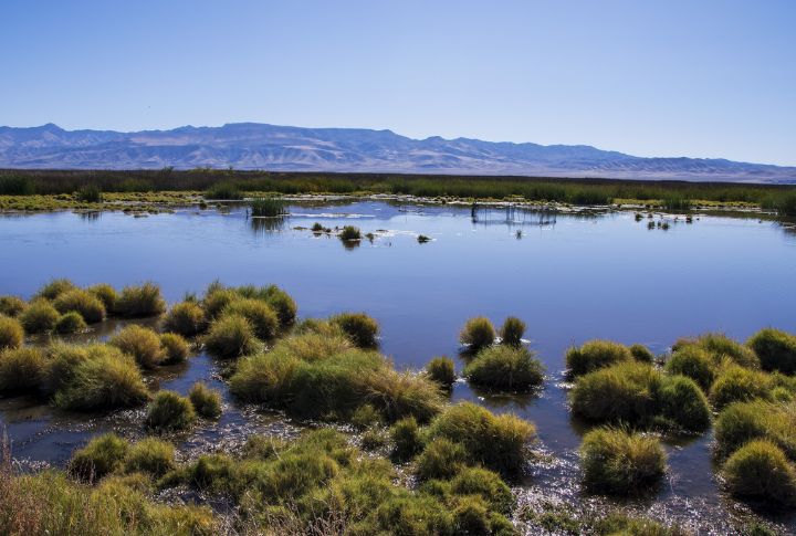 Stillwater National Wildlife Refuge, Nevada