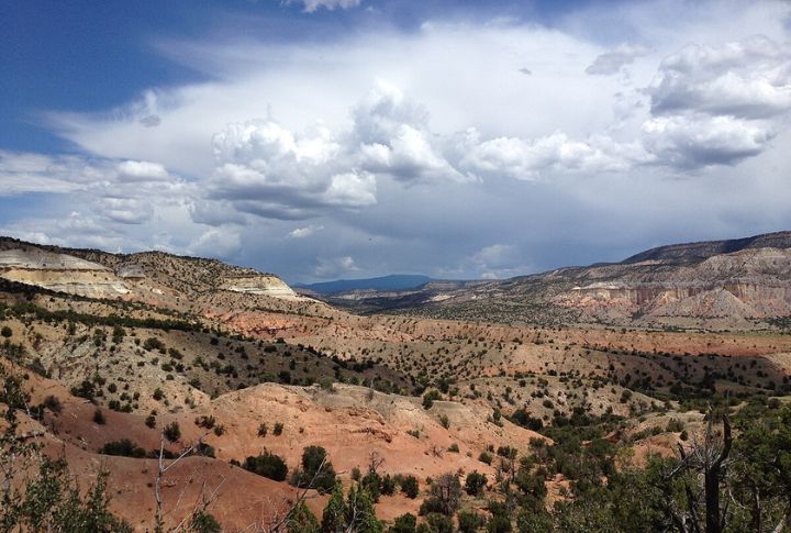 New Mexico