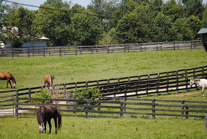 Kentucky