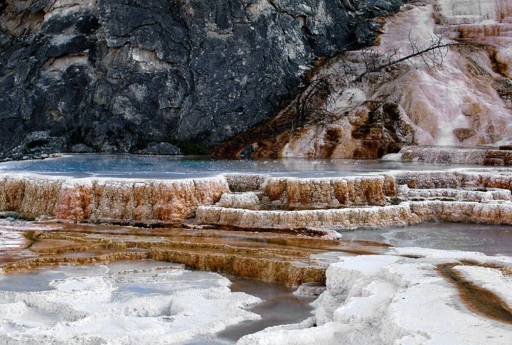 Wyoming Opens Yellowstone National Park