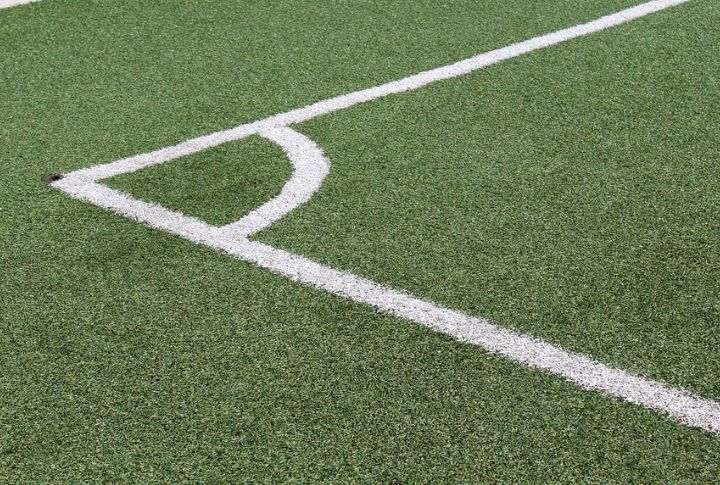 Synthetic Turf Grass