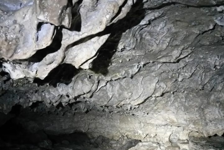 Ice Cave