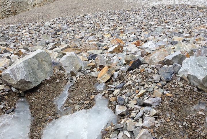 Melting Ice Feeds Streams That Support Local Wildlife