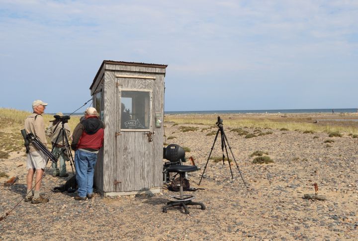 Whitefish Point Bird Observatory, Michigan