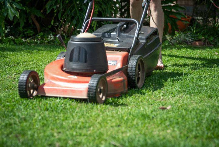 Gas-Powered Lawn Equipment