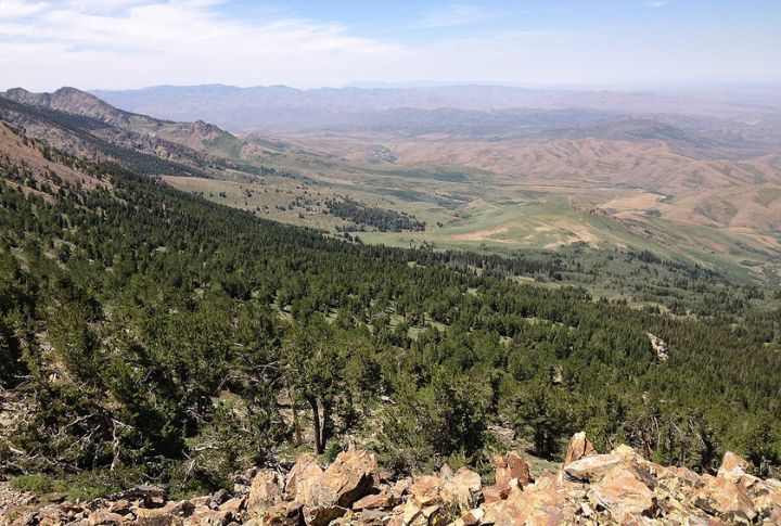 Nevada