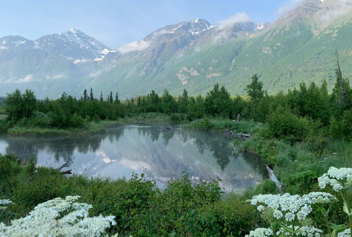 Alaska