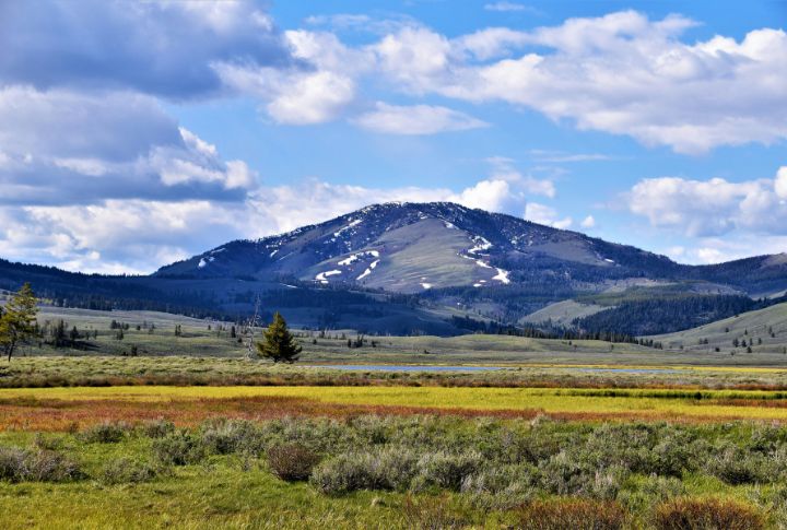 Montana