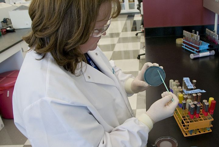 What You Need To Know About Salmonella Enteritidis