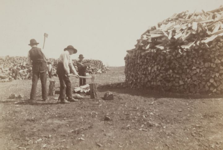 The Role Of Early Native American Civilizations