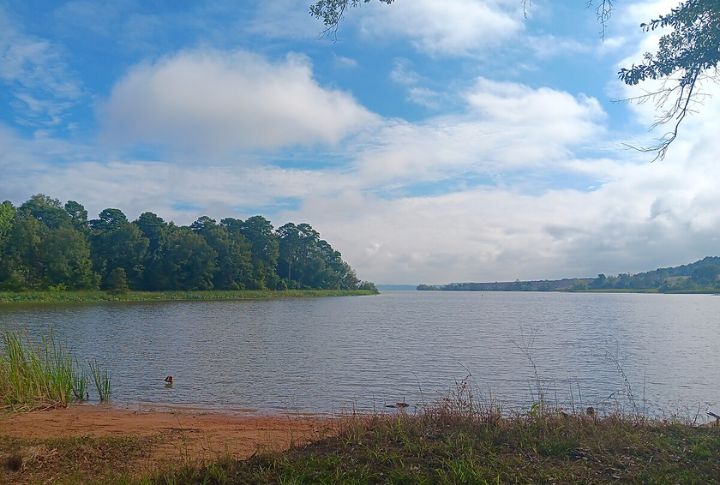 Arkansas
