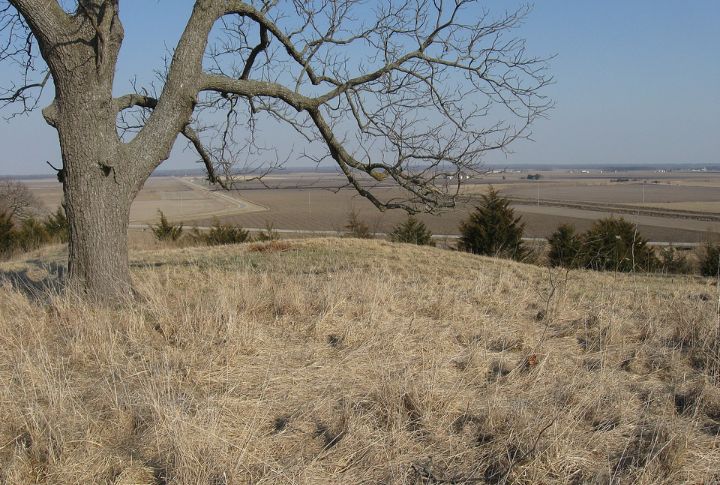 Iowa