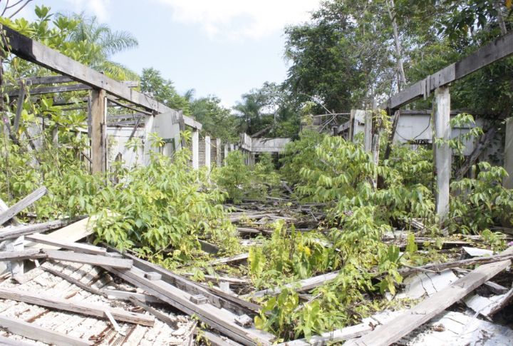 Fordlandia, Brazil