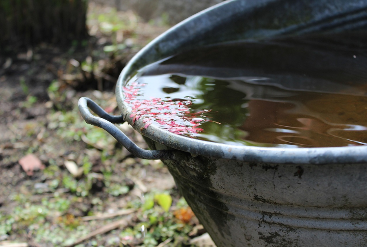 Collecting And Reusing Rainwater