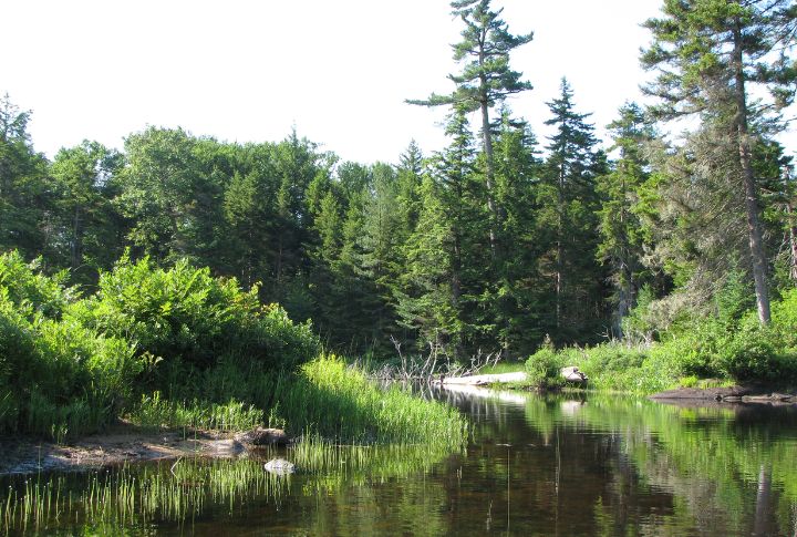Deep In The Western Adirondacks