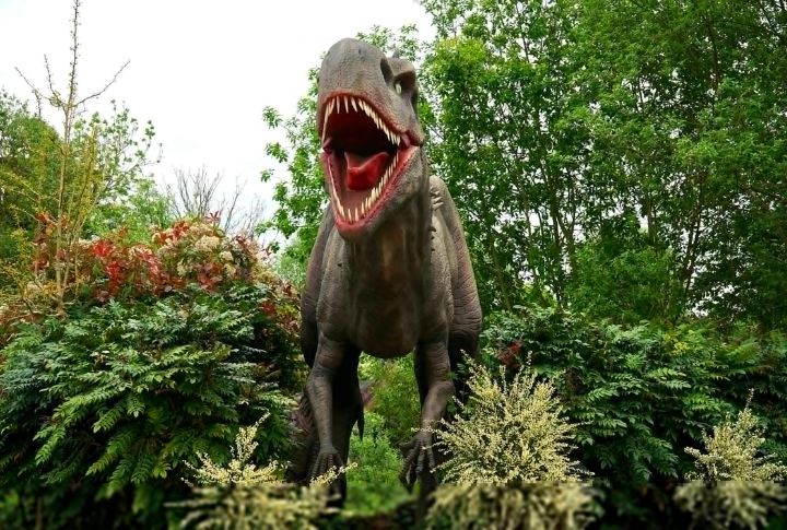 Dinosaurs Were Slow And Cold-Blooded