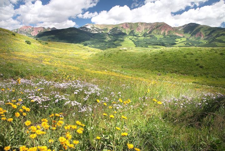 Crested Butte