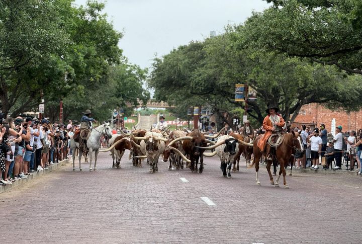 Texas