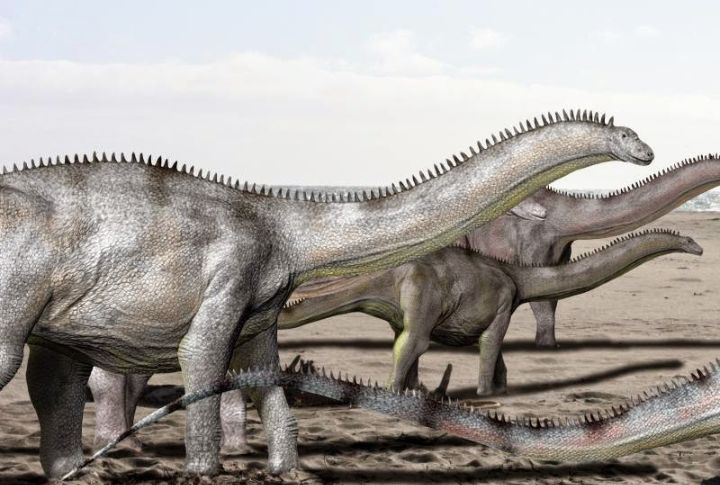 Brontosaurus Was Fake