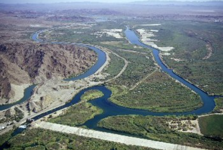 The Reclamation Service’s Bet