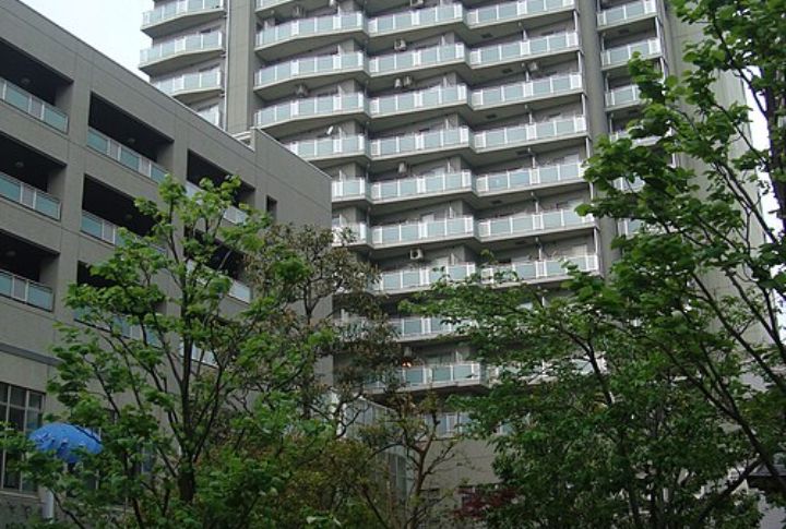 High-Density Housing Development