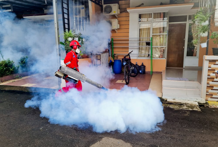 Increasing Pest Control Costs For Homeowners