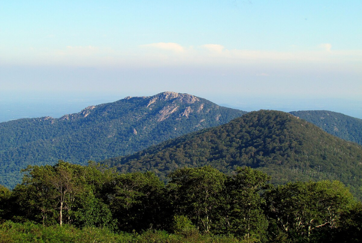 Virginia