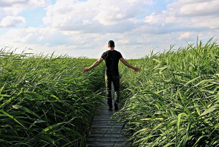 Take A Short Walk To Reset Your Mind