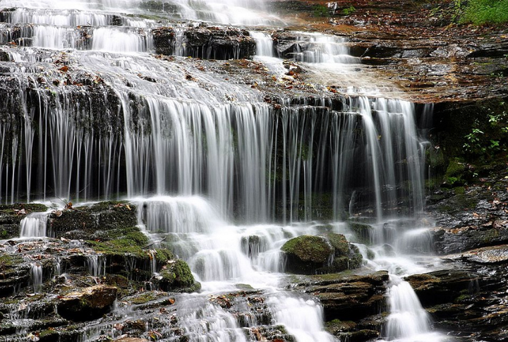 Pearson’s Falls And Glen