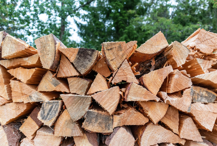 Complicating Firewood And Landscaping Regulations