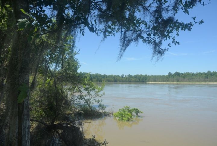 Trinity River