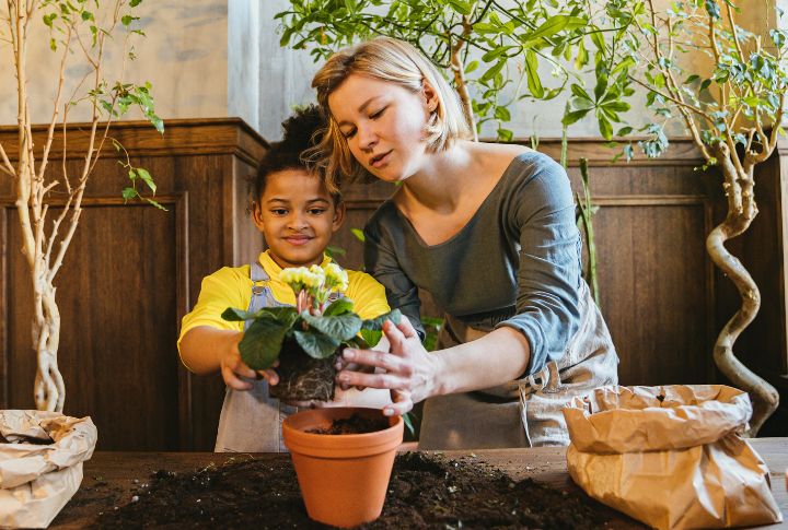 Gardening And Planting Flowers