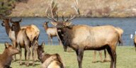 10 Wild Hunts That Make The Miles Worth It