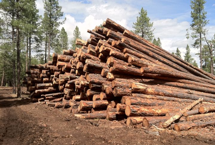Logging Built The Foundation Of Beaver River