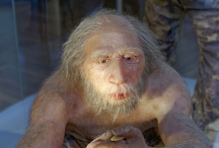 10 Ancient Human Species That Shaped Our Origins