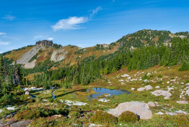 Washington