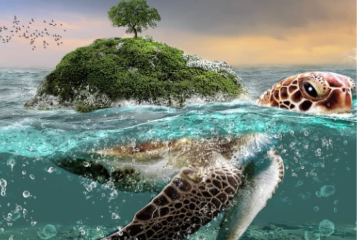Great Turtle