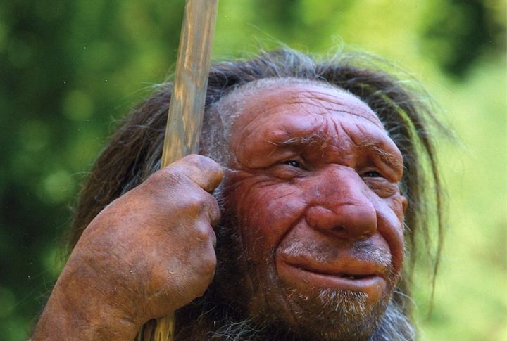 Neanderthals