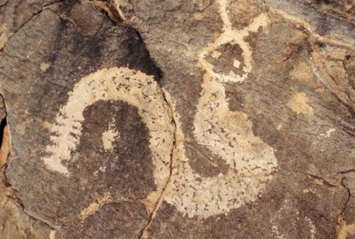 Horned Serpent